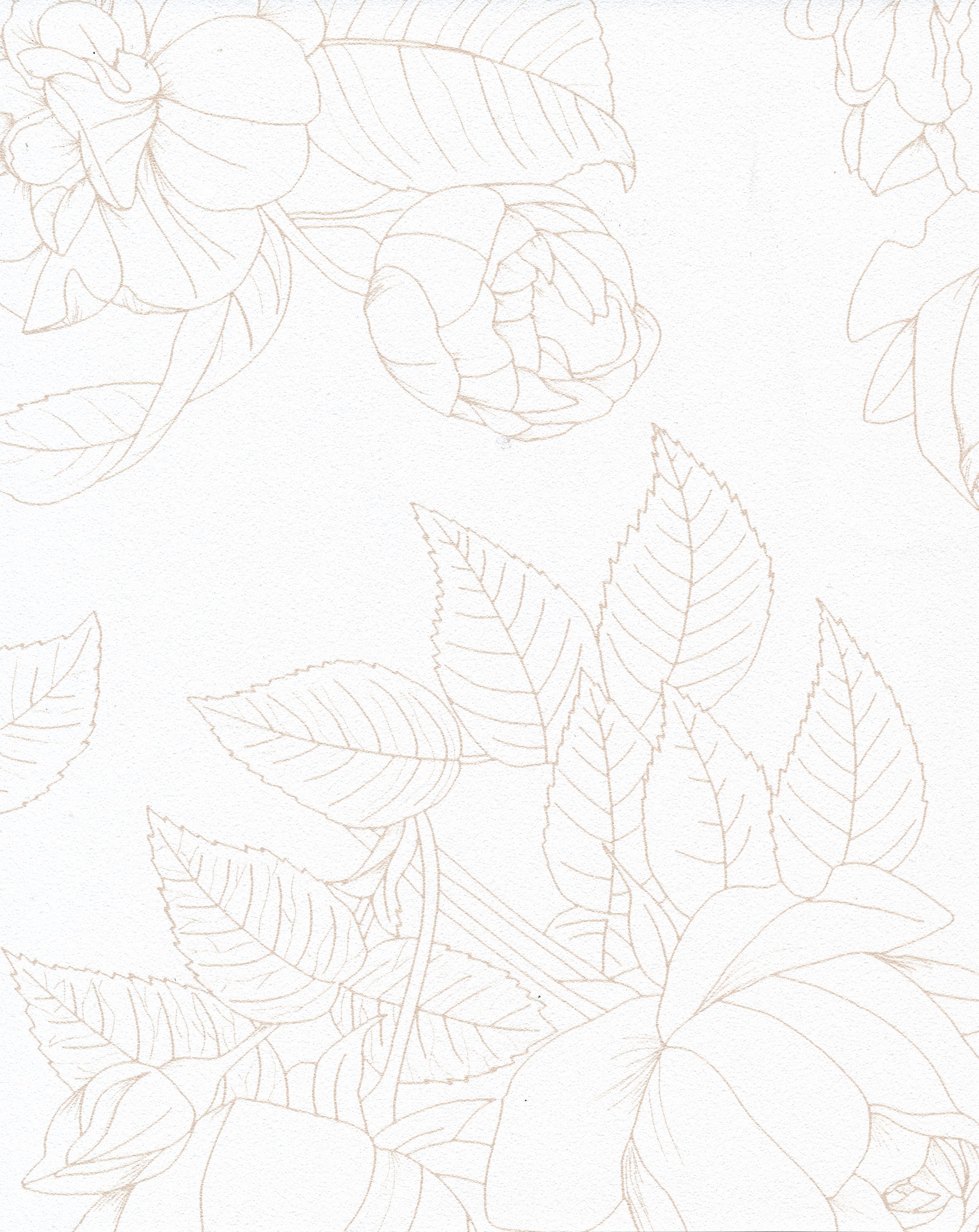 Flora