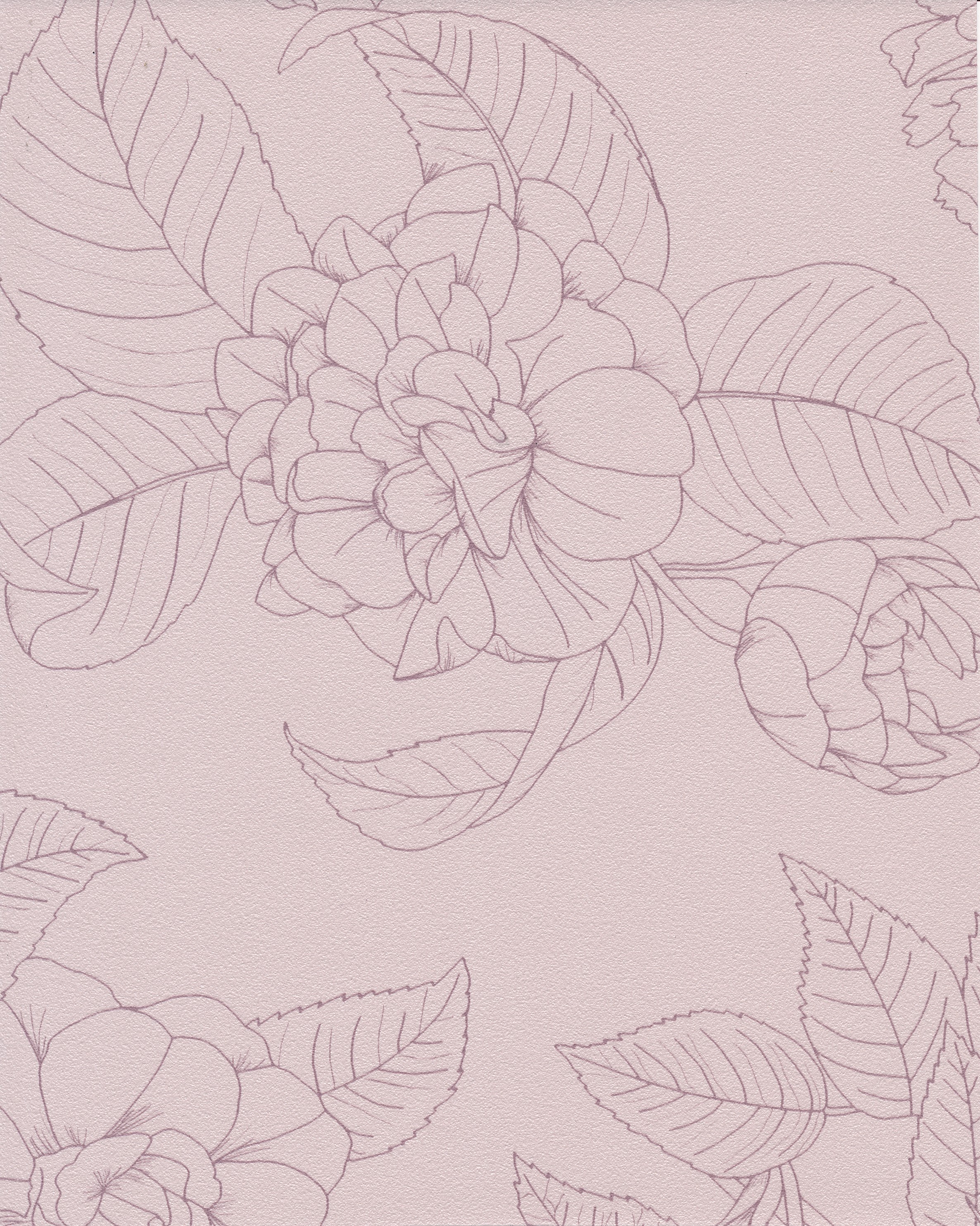 Flora
