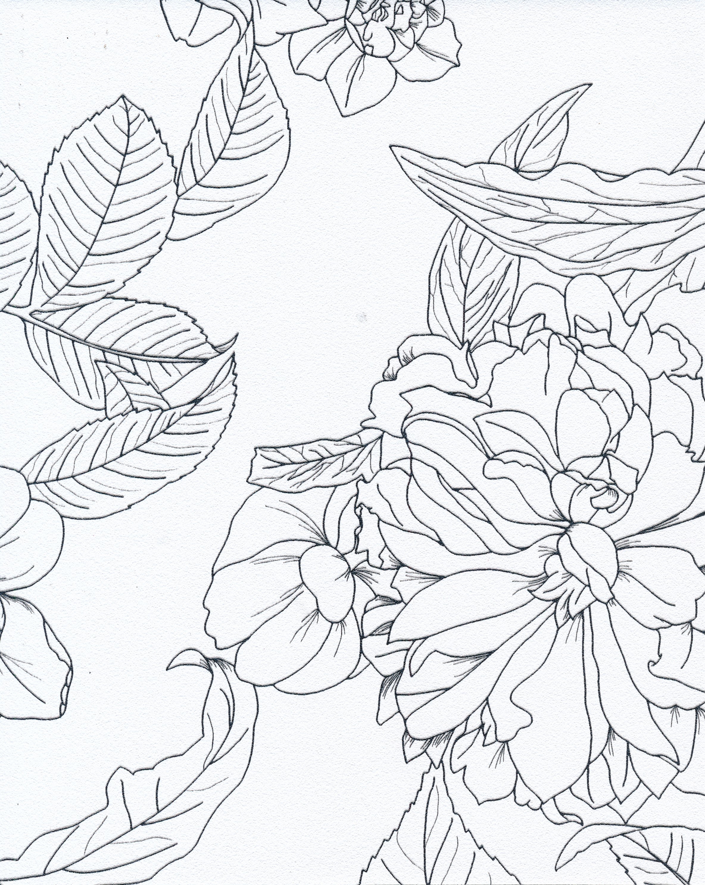 Flora