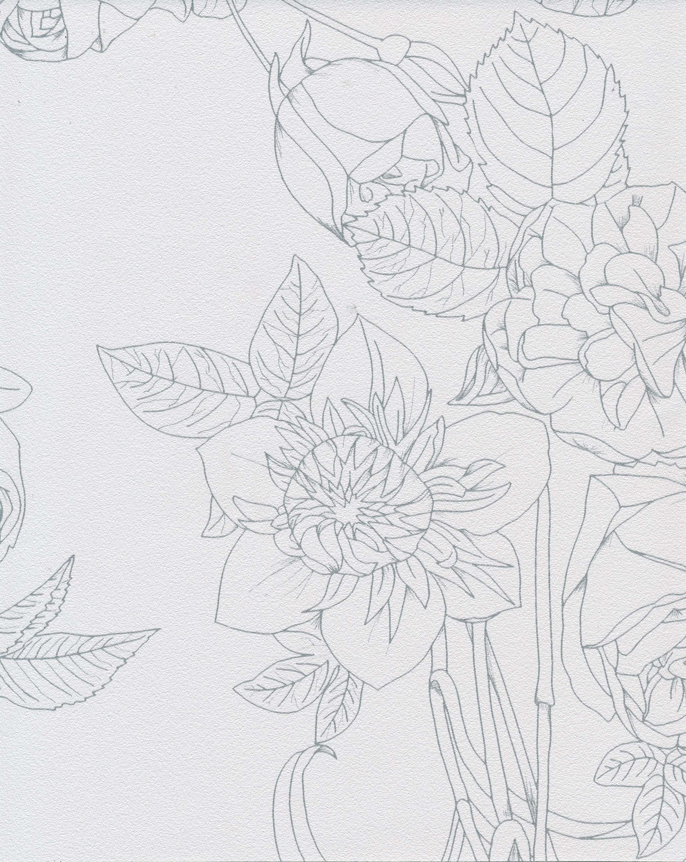 Flora
