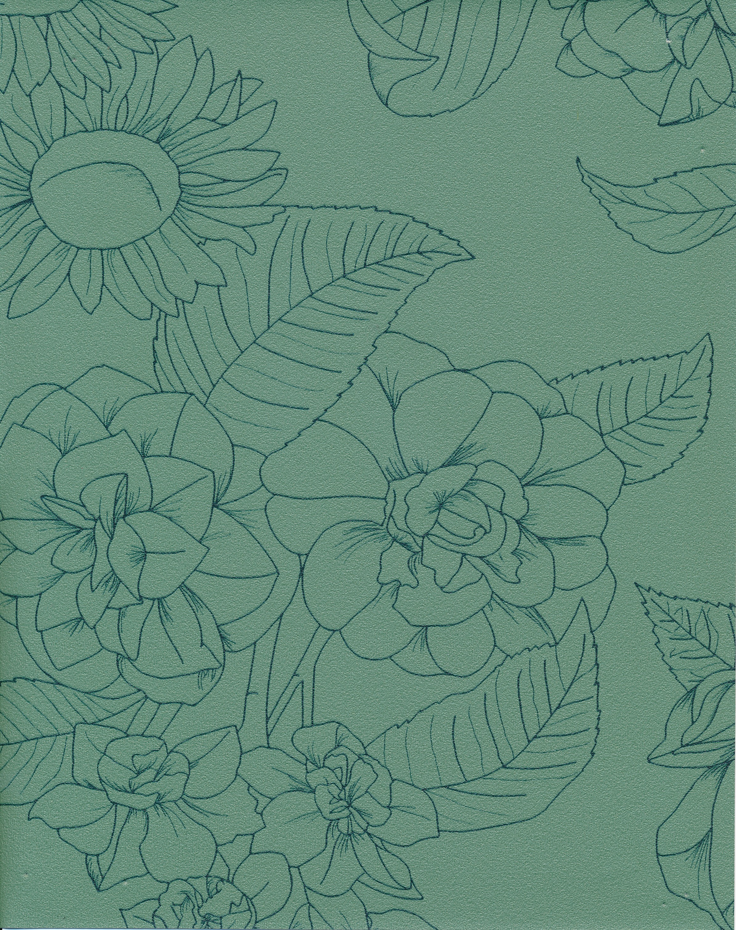 Flora