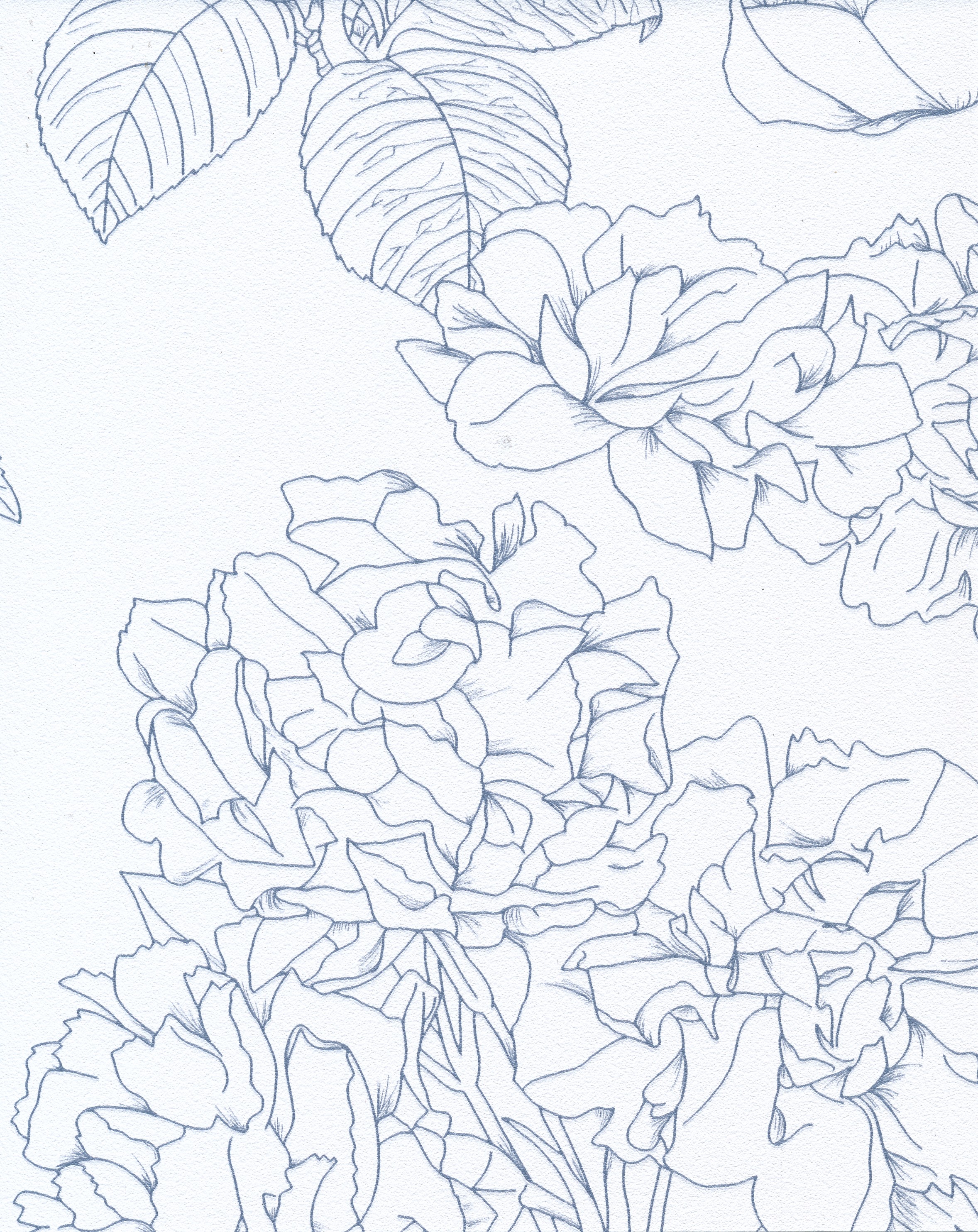 Flora