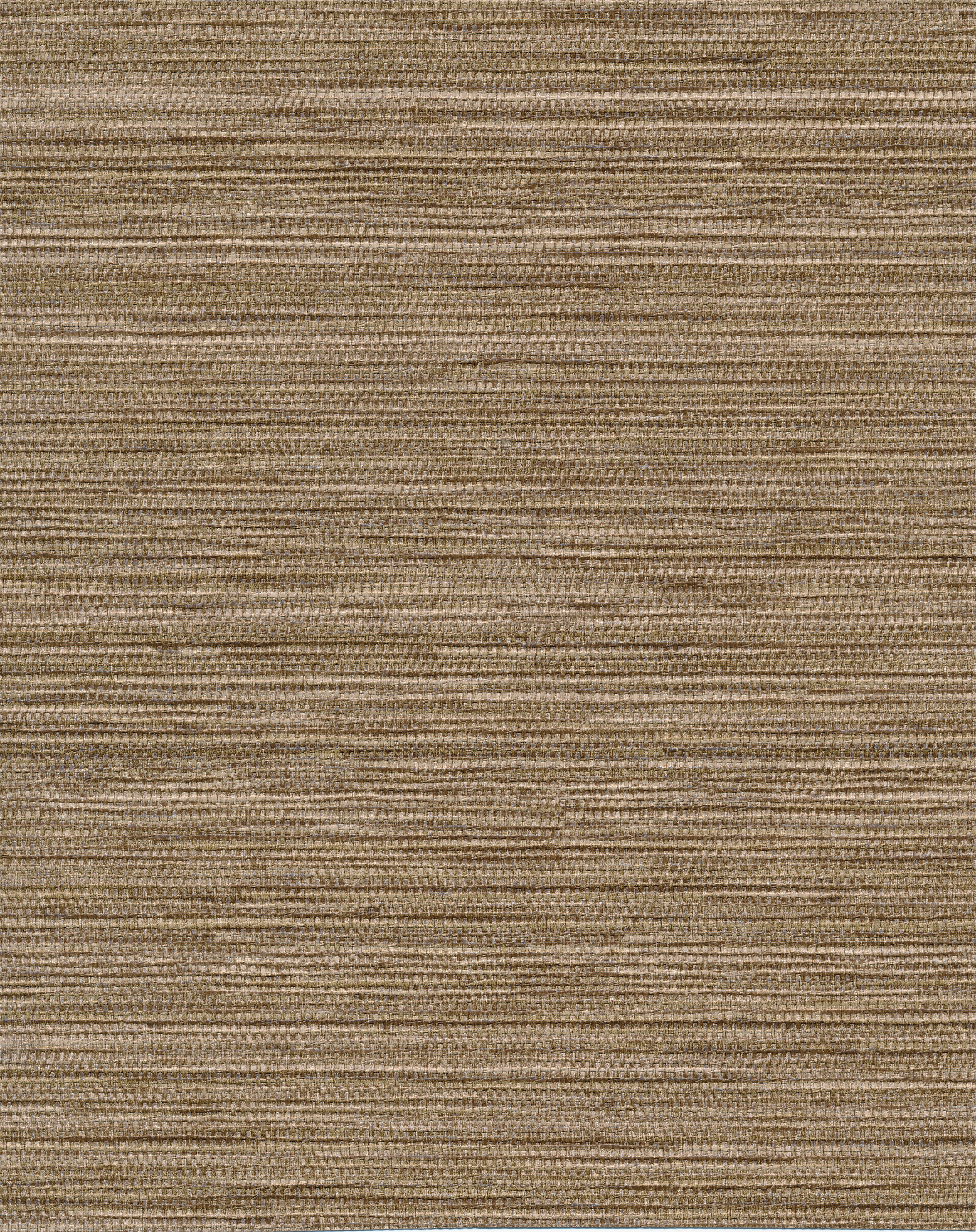 Sweetgrass