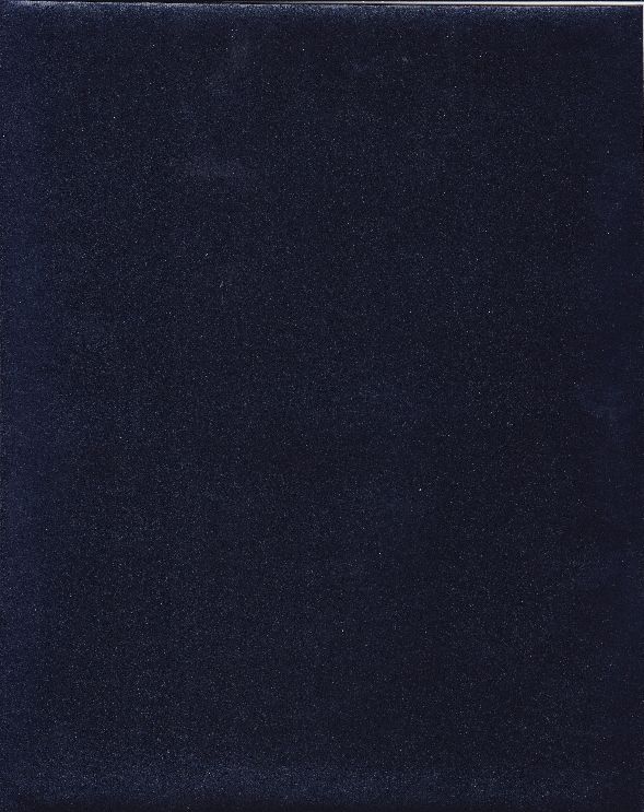 Lacquered Wall