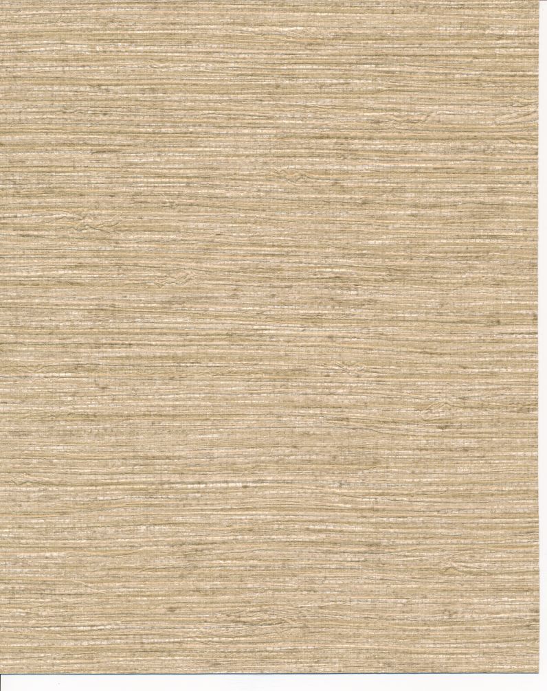 Arrowroot