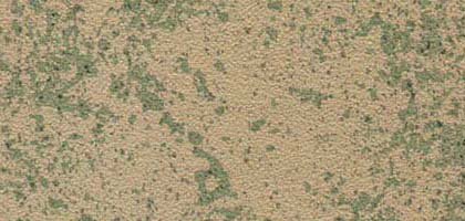 Sponge Texture