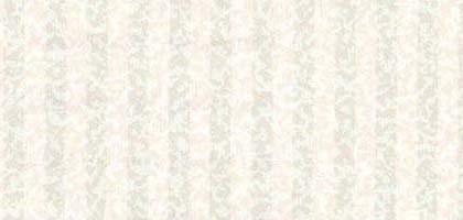 Omni Stripe