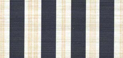 Monica Stripe