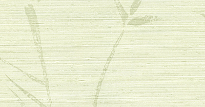 Bamboo