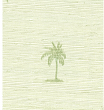Palm Tree
