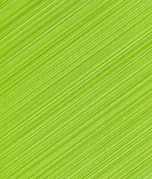 Subway Lines 36"