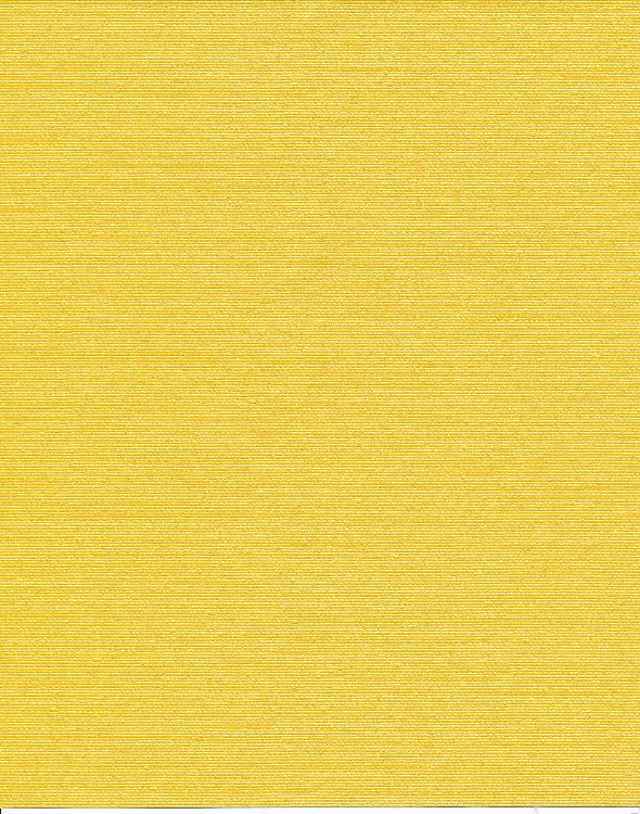 Shanghai Silk