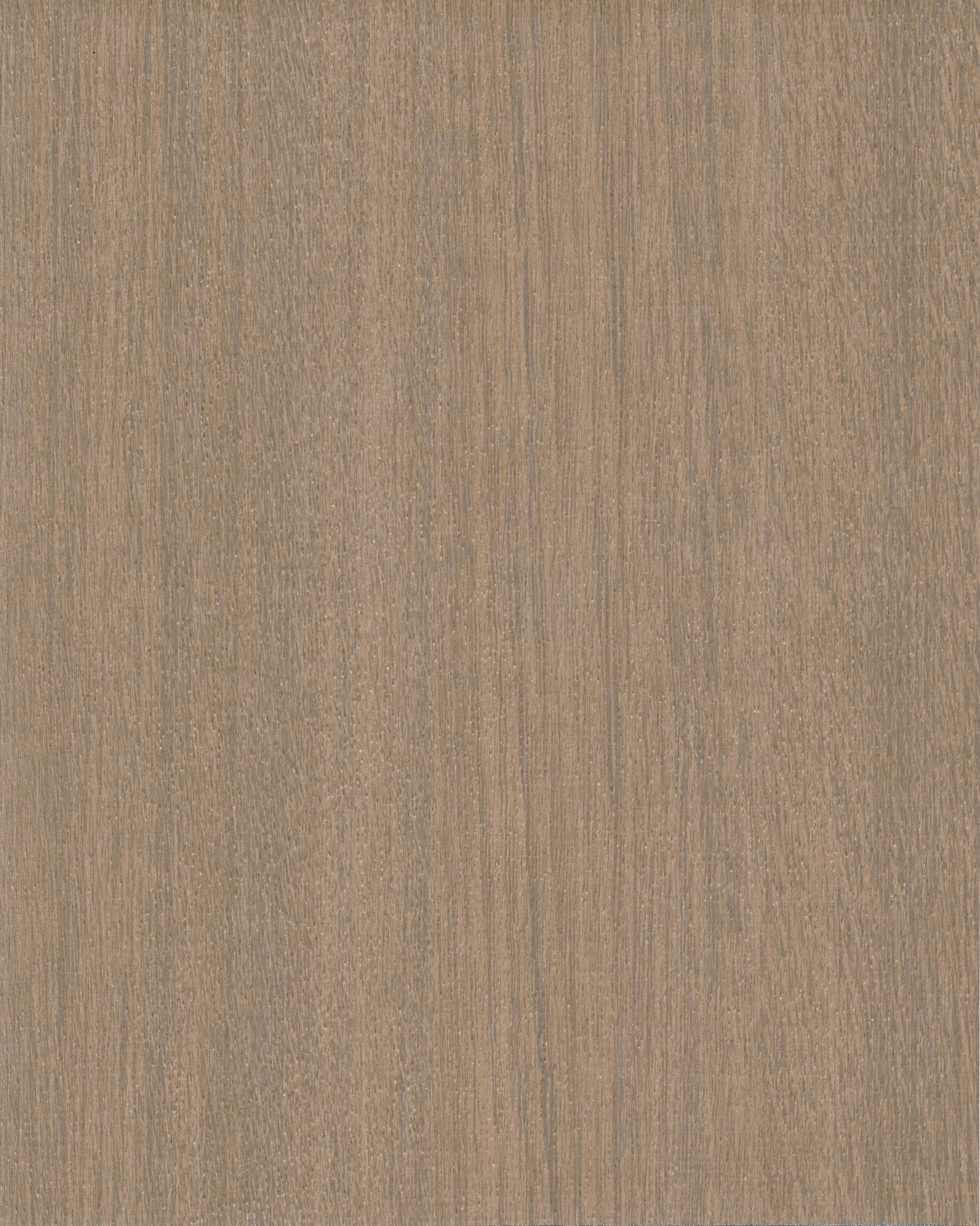 Wood Veneer
