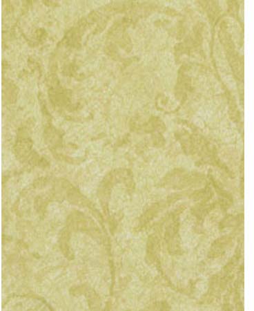 Angelina