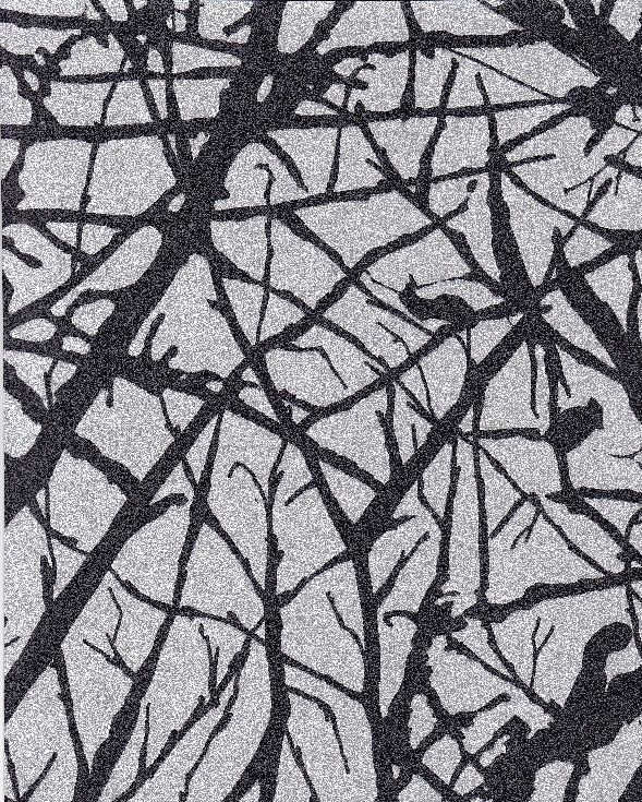 Branches