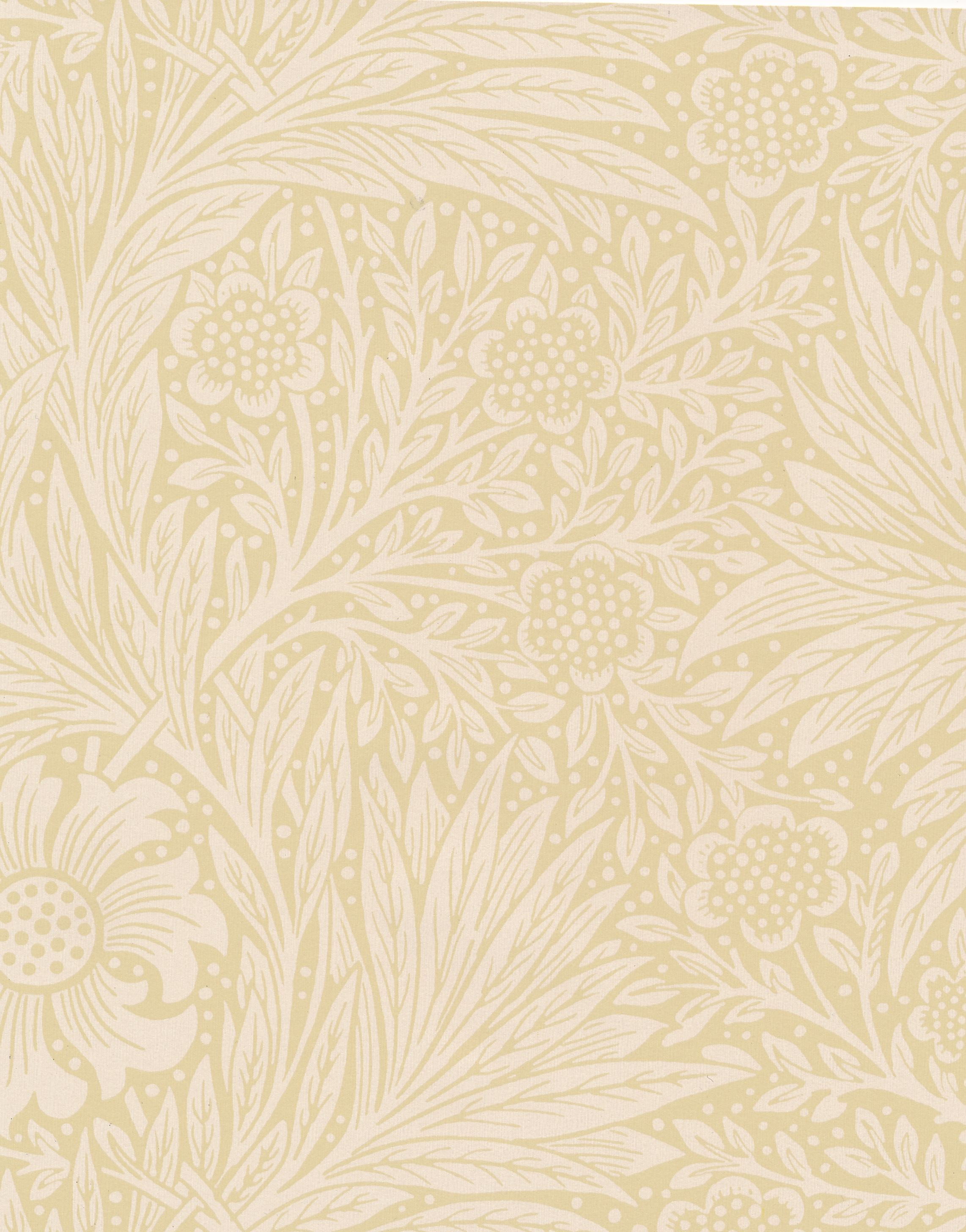 Marigold