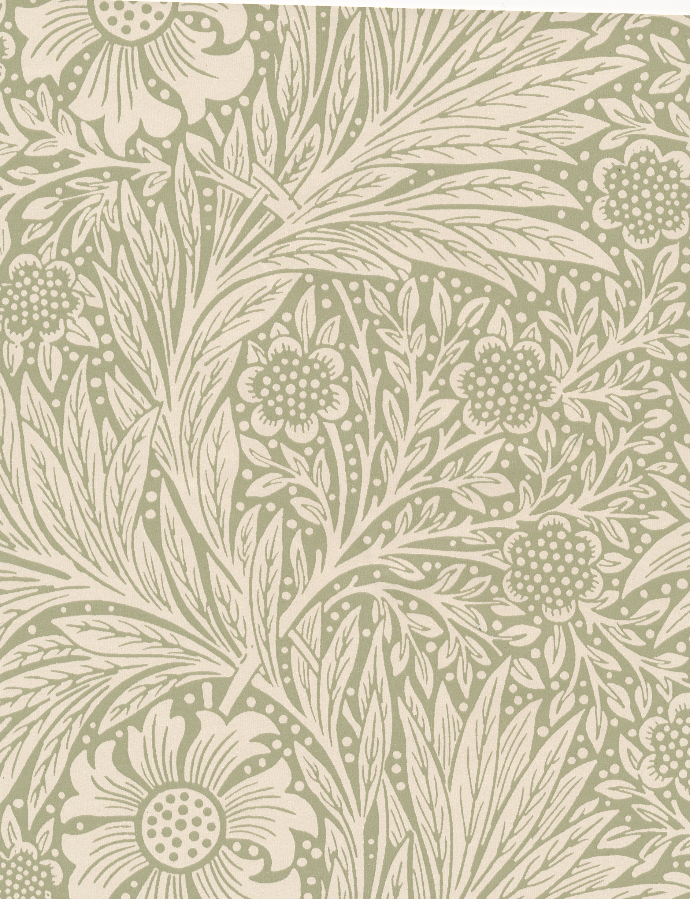 Marigold