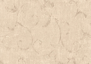 Echo Scroll