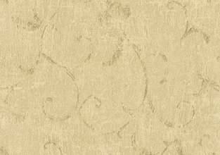 Echo Scroll