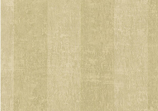 Echo Stripe