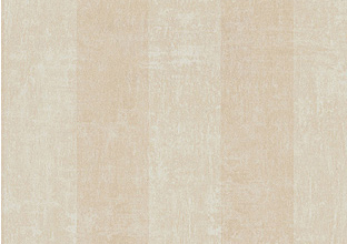 Echo Stripe