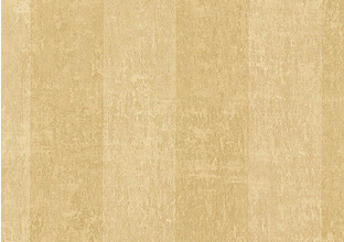 Echo Stripe