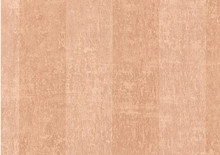 Echo Stripe