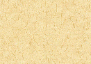 Maple