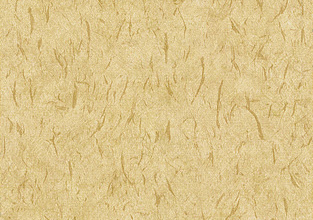 Maple