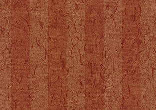 Maple Stripe