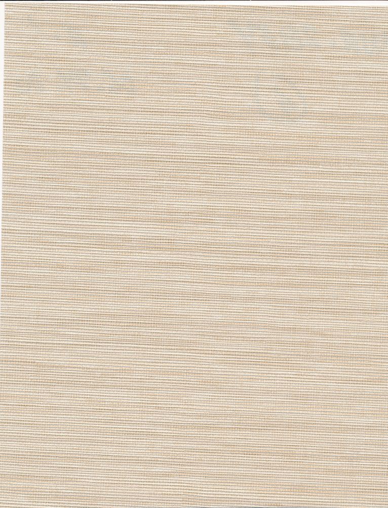 Bazaar Plain
