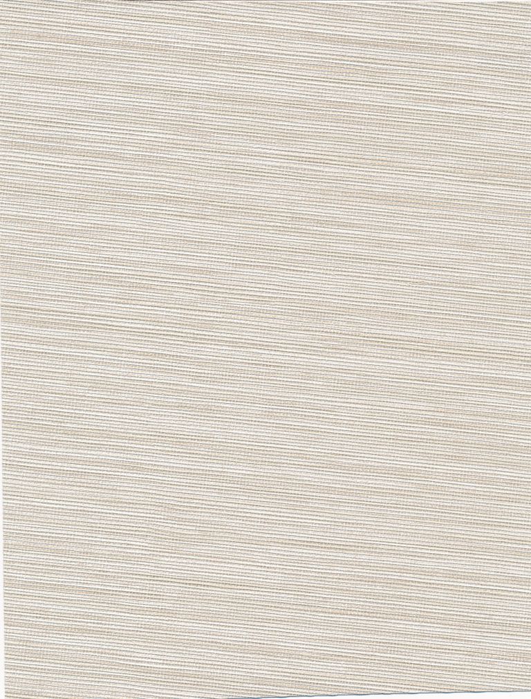 Bazaar Plain