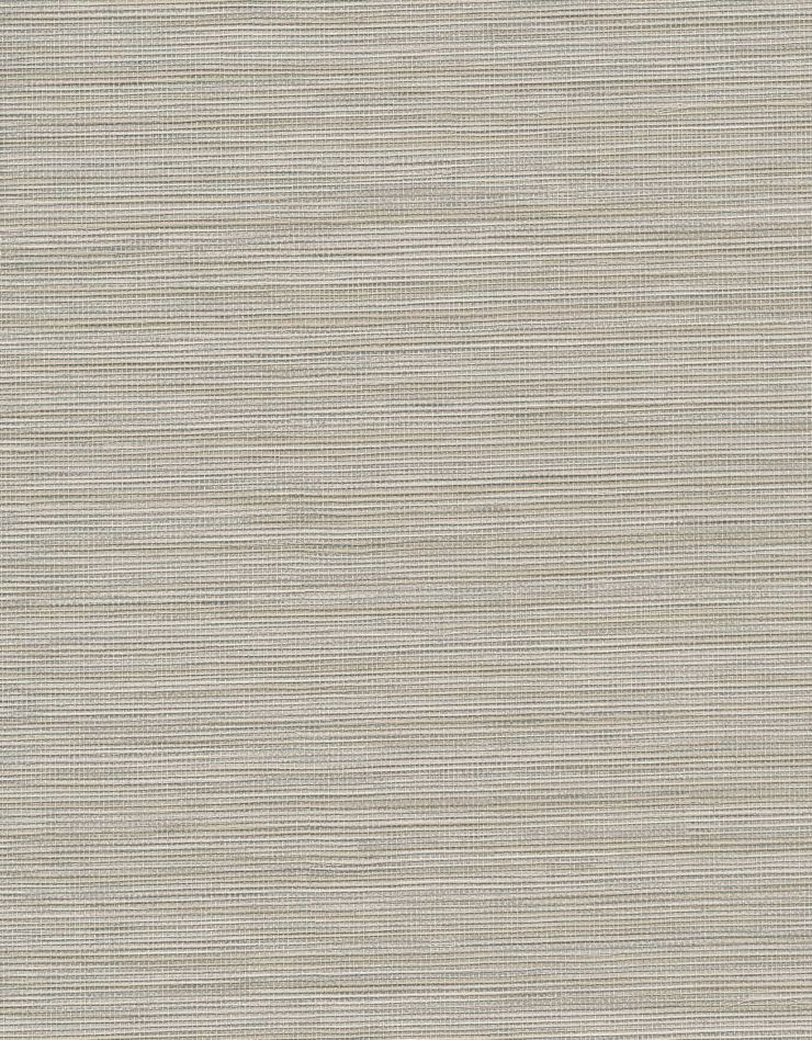Bazaar Plain