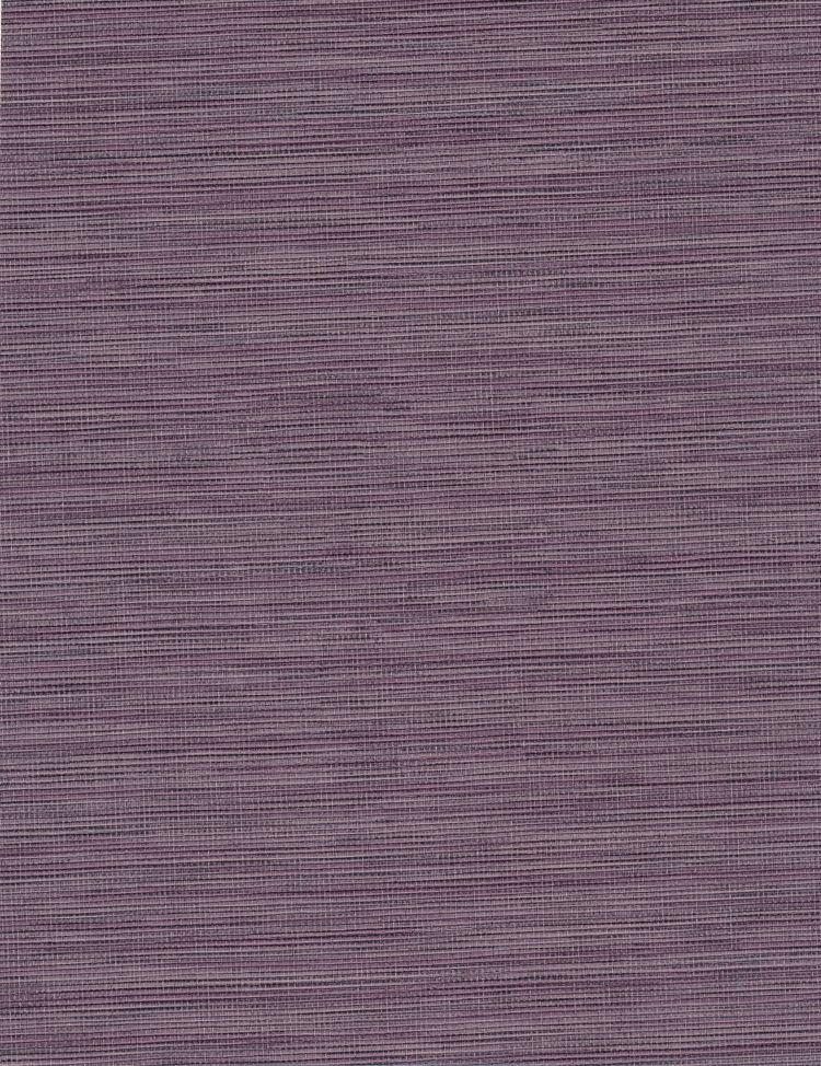 Bazaar Plain