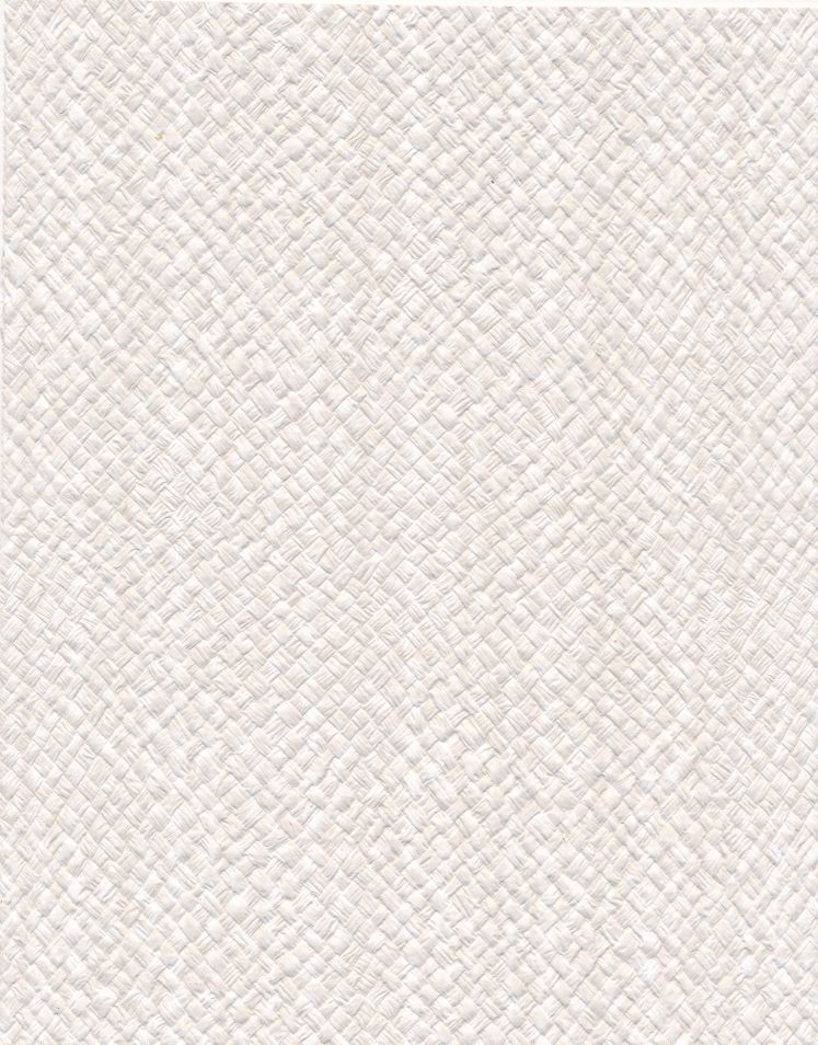 Canvas Weave — White