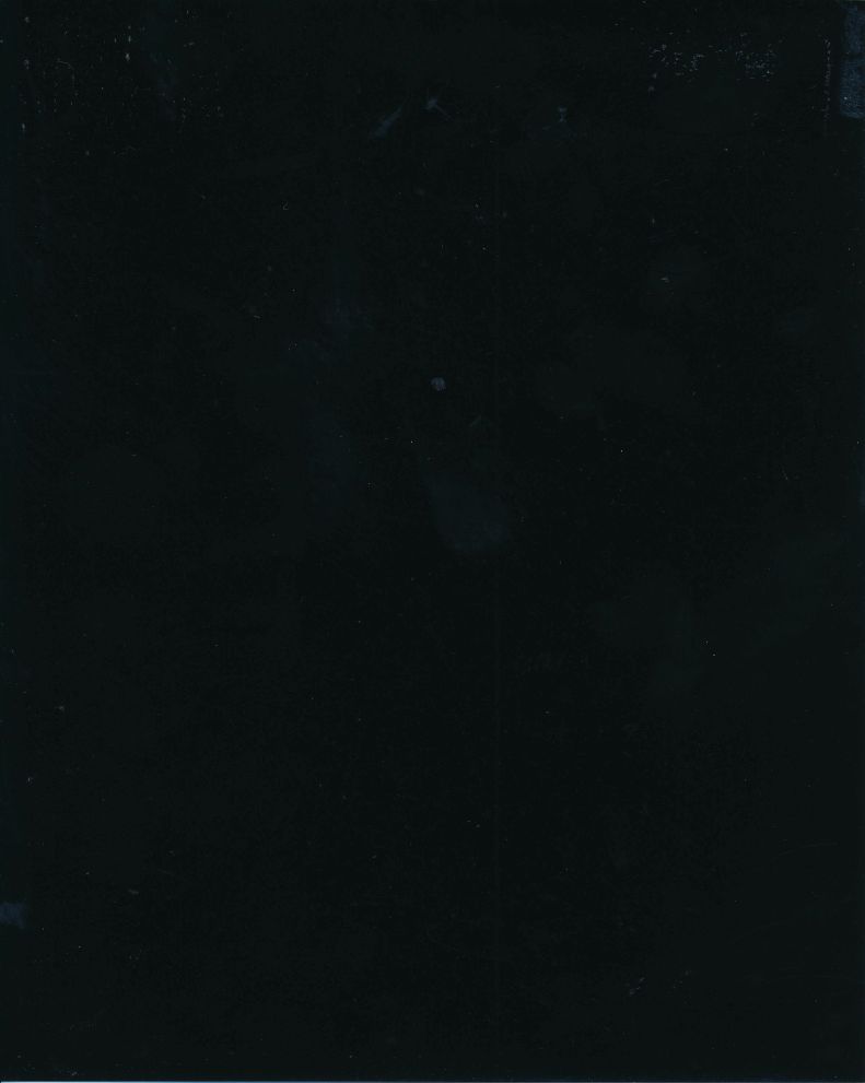 Black Polish Digital