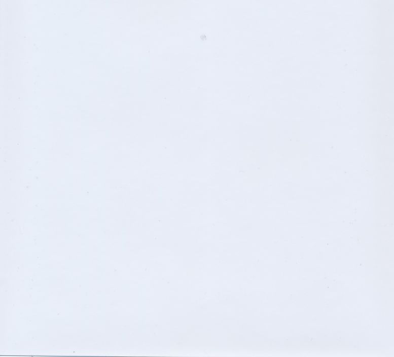 White Polish - Digital