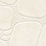Webbed White