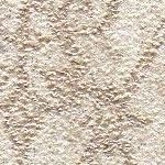 Parchment