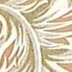 Beige Gold