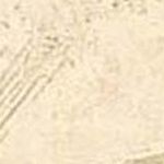Beige Gold