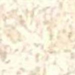 Lt Beige