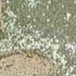 Green Beige Gold