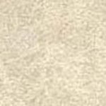 Beige Gray