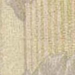 Cream Gold Beige