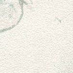 Olive Gray