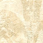 Parchment