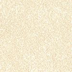 Parchment