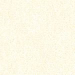 Parchment