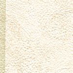 Parchment